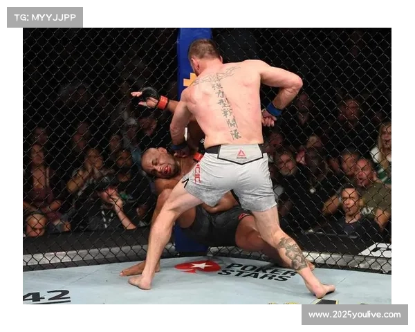 佩雷拉加入UFC时科米尔已退役，两人从未在八角笼相遇